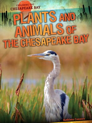 cover image of Plants and Animals of the Chesapeake Bay